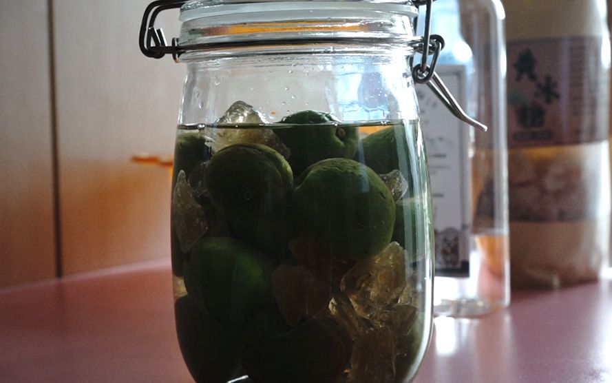 自制梅子酒|记录第一次制作_哔哩哔哩_bilibili