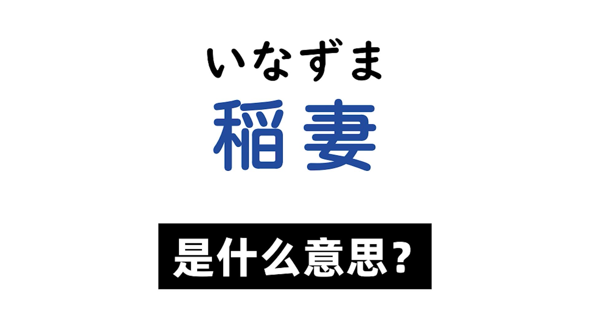 日语里「稲妻」是什么意思?哔哩哔哩bilibili