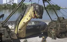 巨大生物 搜索结果 哔哩哔哩 Bilibili