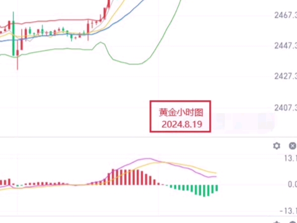 艾紫馨:黄金白银趋势未改 后期涨势更加乐观哔哩哔哩bilibili