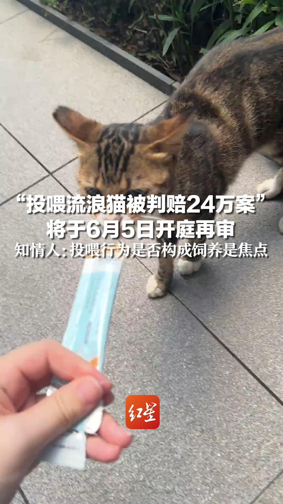 “投喂流浪猫被判赔24万案”,将于6月5日开庭再审,知情人:投喂行为是否构成饲养是焦点哔哩哔哩bilibili