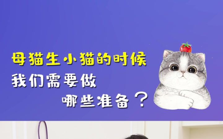 12.21母猫生小猫的时候我们需要做哪些准备?待产包准备好这些了吗?#防御保健#科学养宠攻略哔哩哔哩bilibili