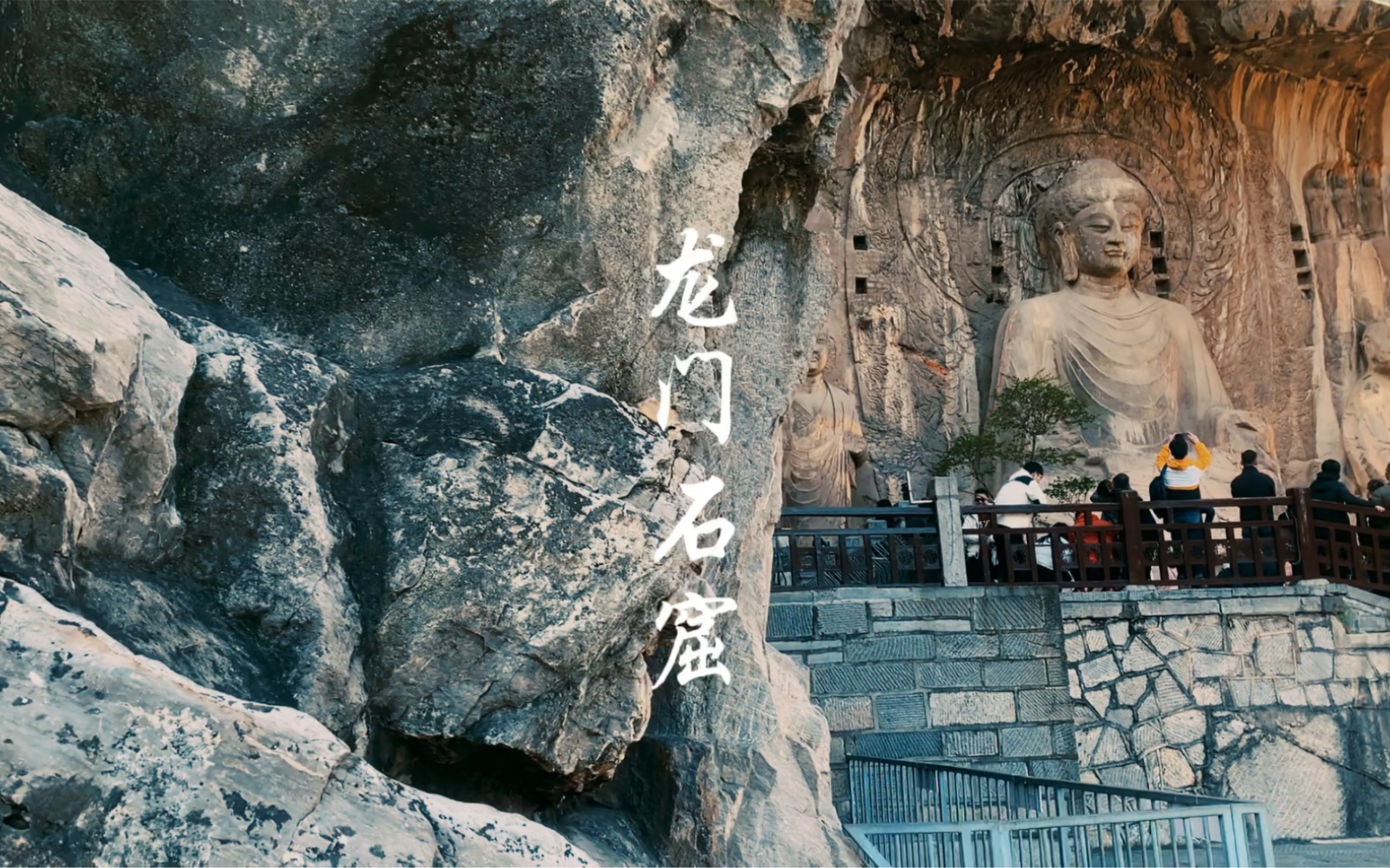 "佛不见我,我自去见佛",始终安详如一的卢舍那大佛#洛阳 #龙门石窟