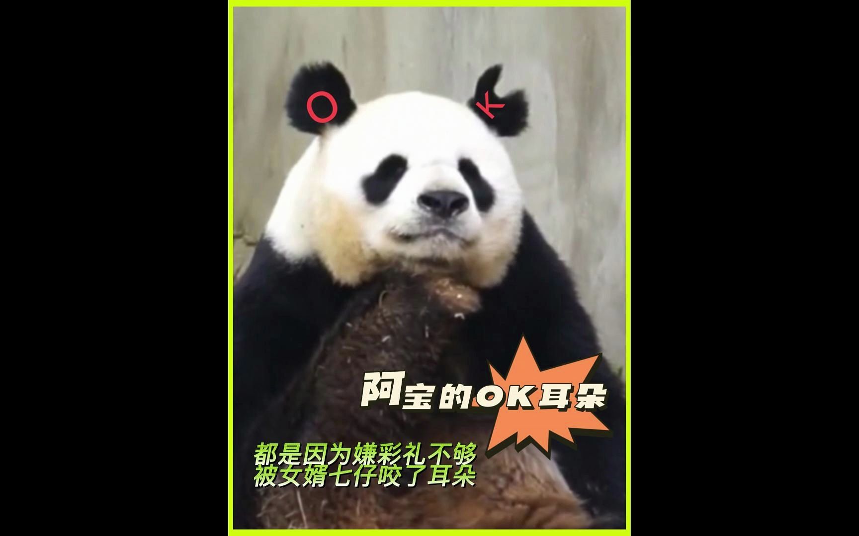 七仔咬阿宝耳朵