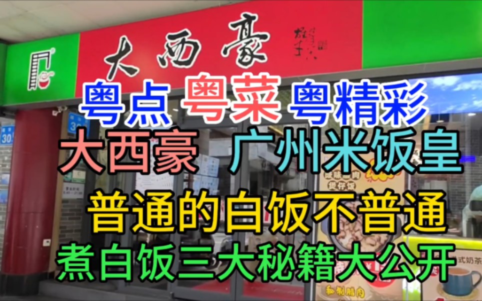 普通的白饭不普通,大西豪,广州米饭皇,煮白饭三大秘籍大公开哔哩哔哩bilibili