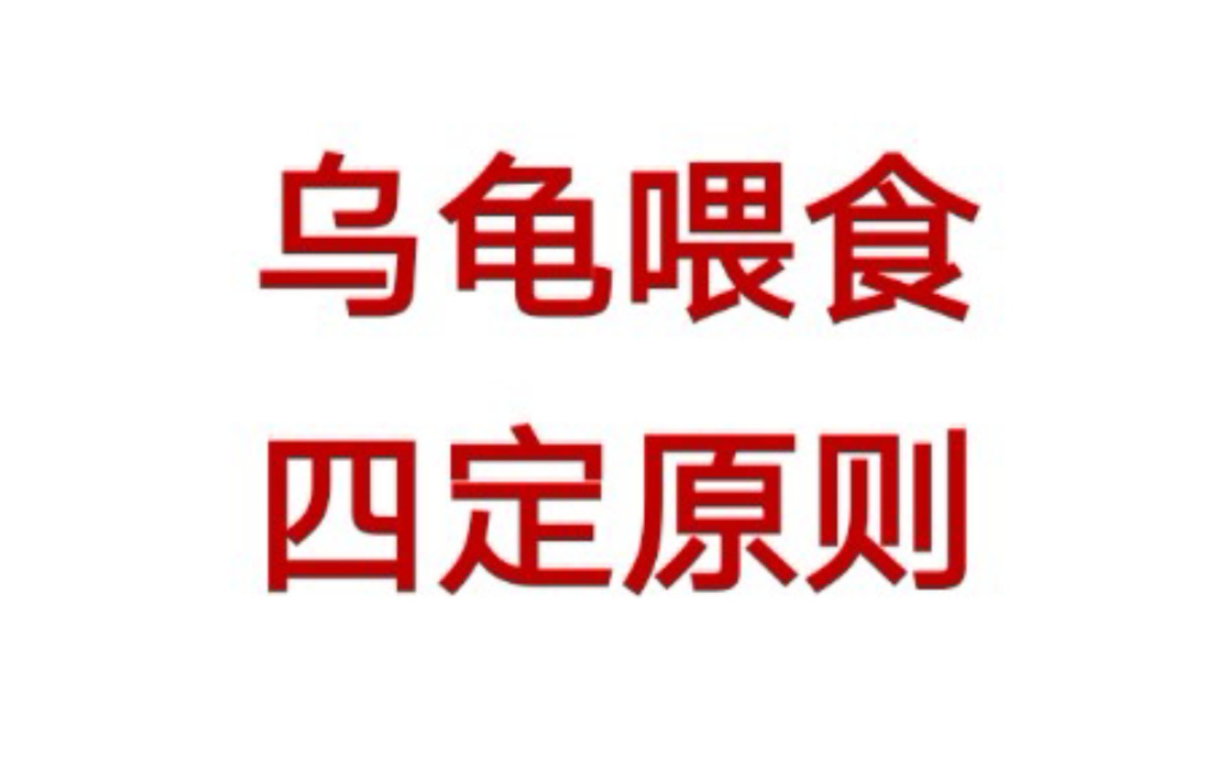 喂龟四定原则你知道么?——向专业规模养殖学养龟(二)喂食哔哩哔哩bilibili