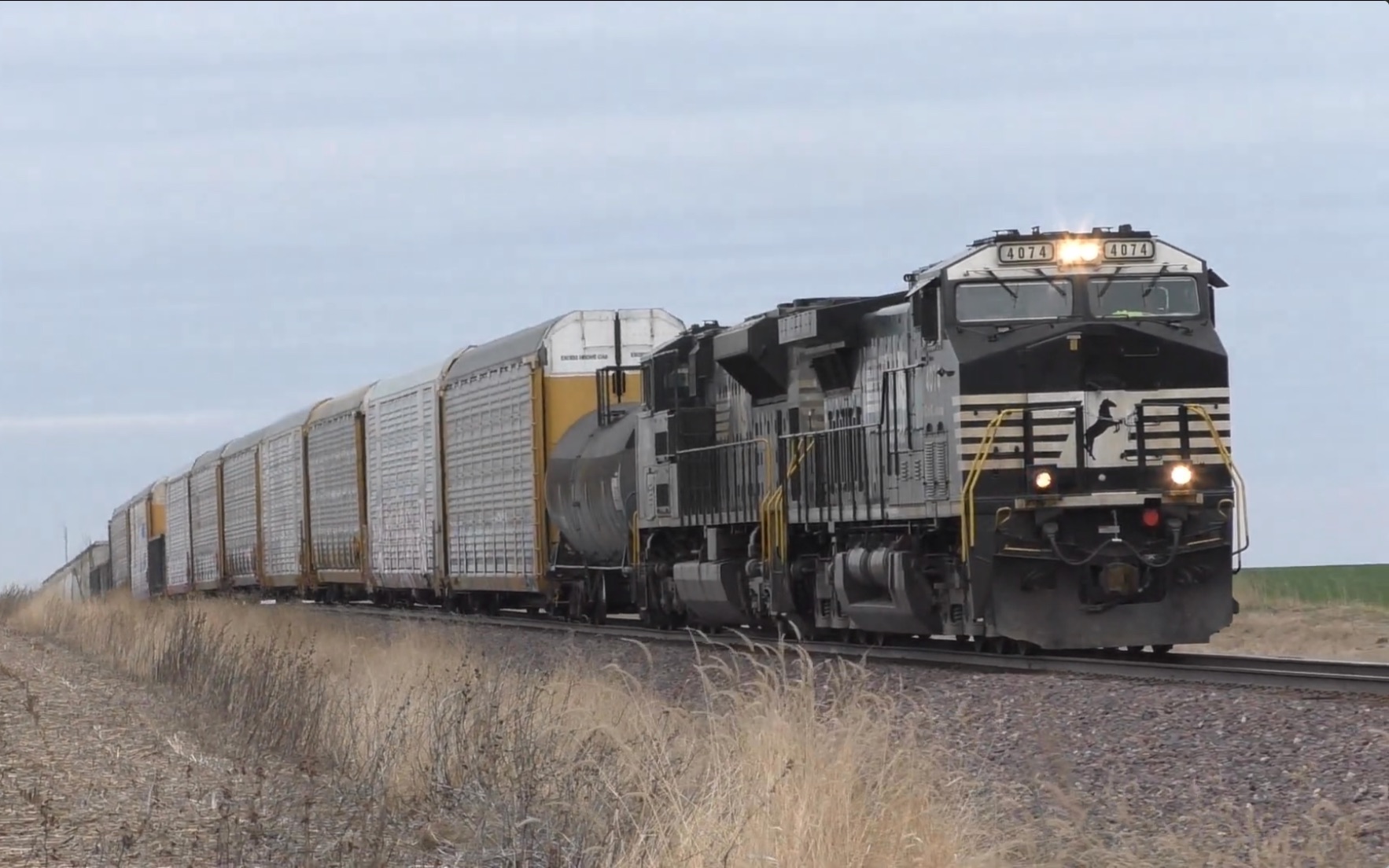 【搬运】ns bnsf csx railfanning at centralia, il 3-13-2021