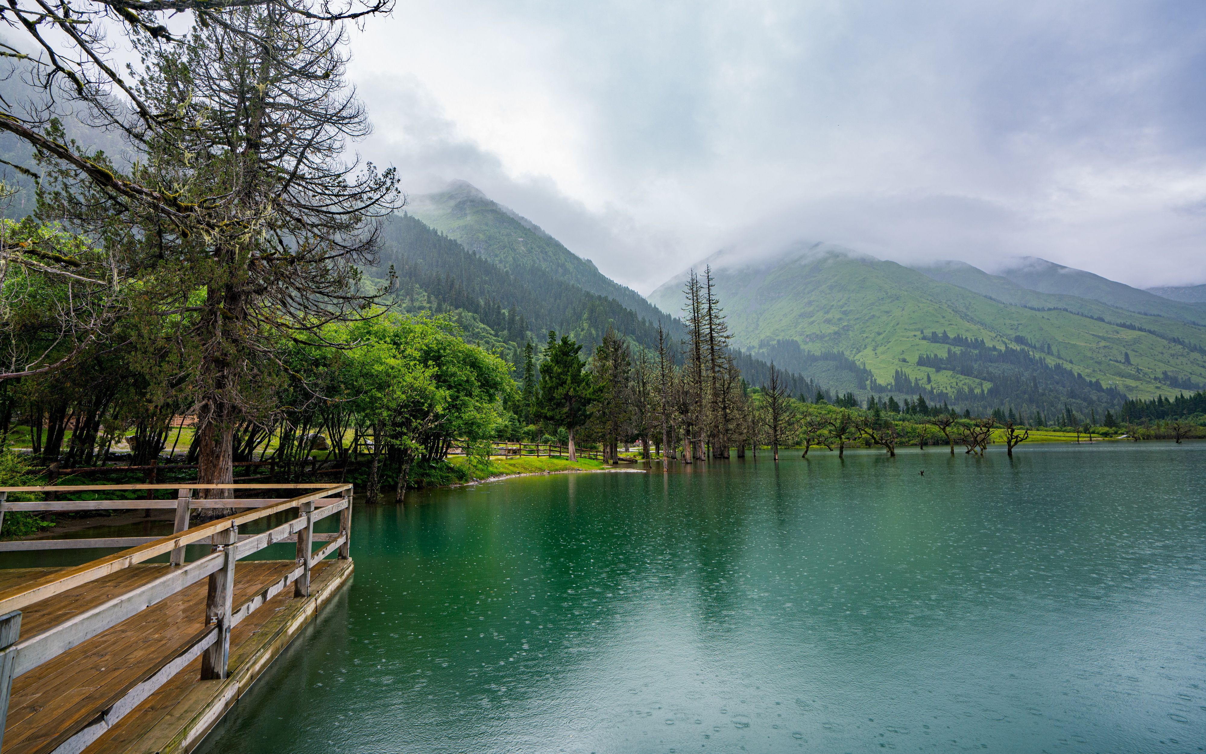川藏青纪行---四姑娘山(双桥沟)