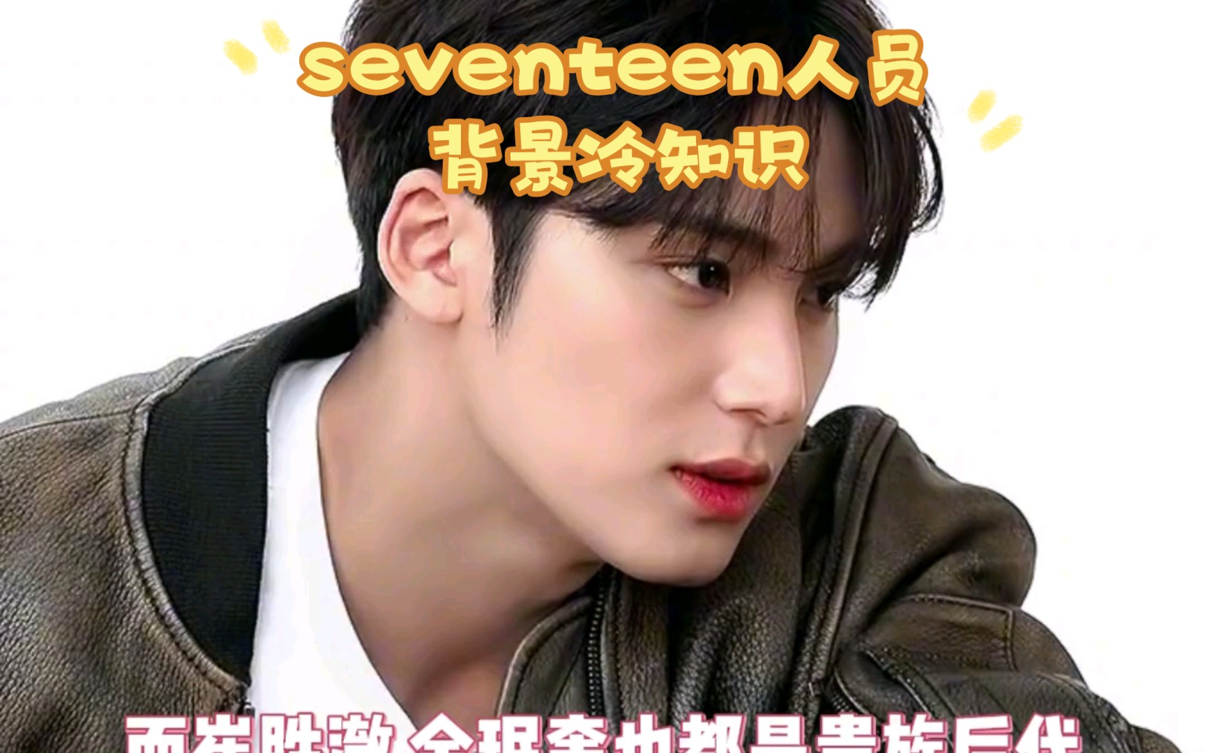 seventeen人员背景冷知识哔哩哔哩bilibili