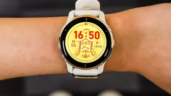 一招教你快速查找佳明官方表盘 #Garmin