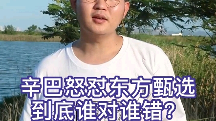 辛巴为何怒怼东方甄选,点这里,一起来看看 #辛巴 #东方甄选哔哩哔哩bilibili