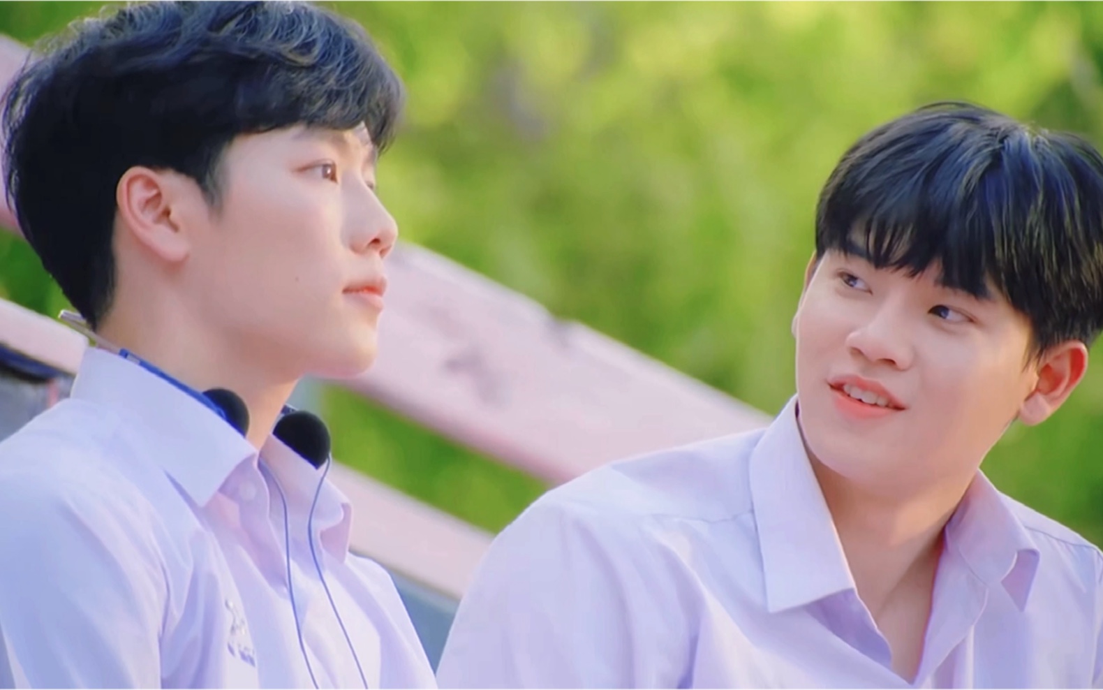 泰腐|33对cp心动混剪