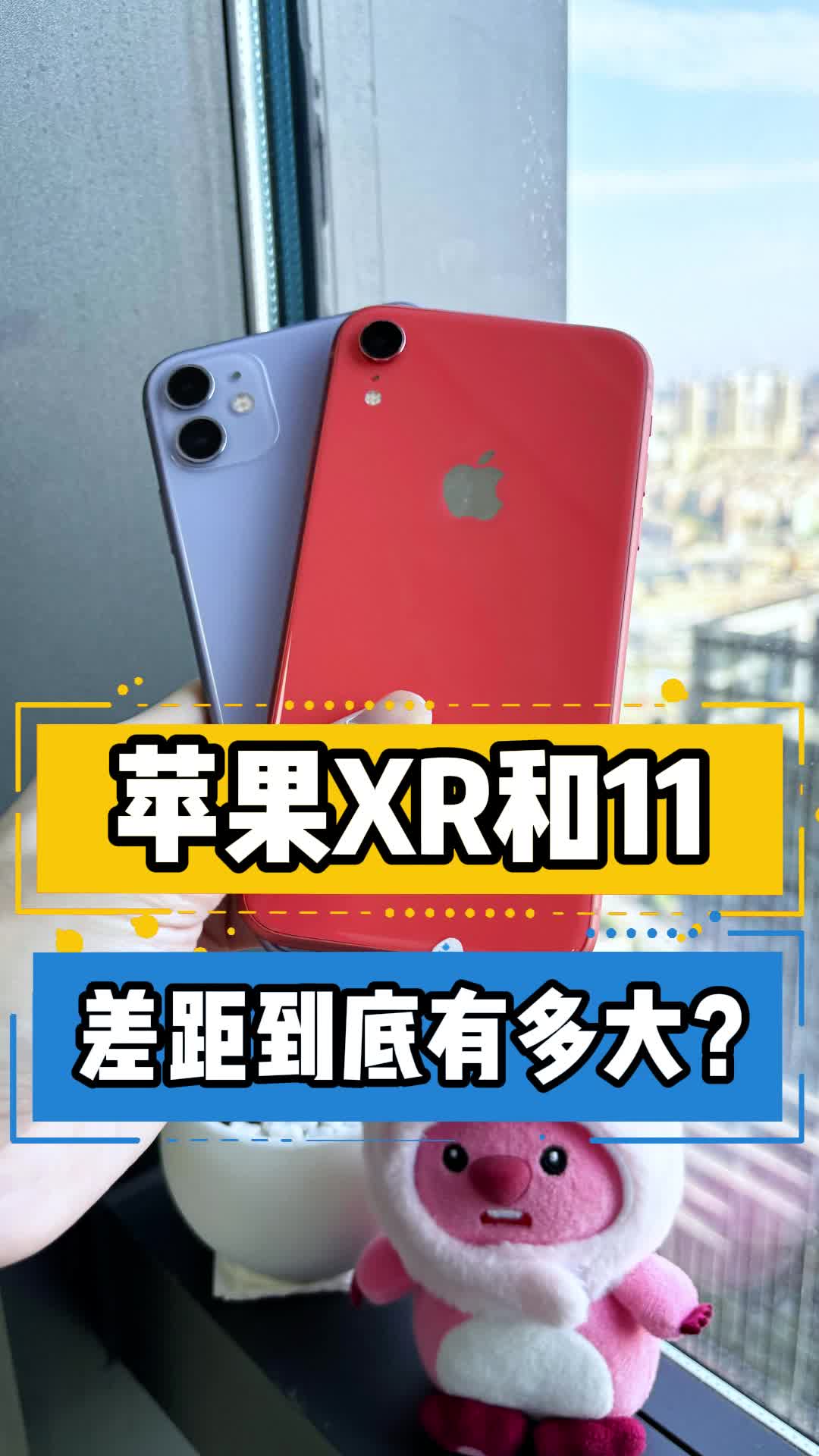 苹果xr和11差距到底有多大?