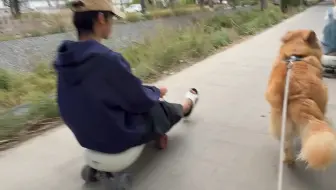 养狗千日，用狗一时，没有一颗狗粮是白吃的，真好玩哈哈哈哈哈