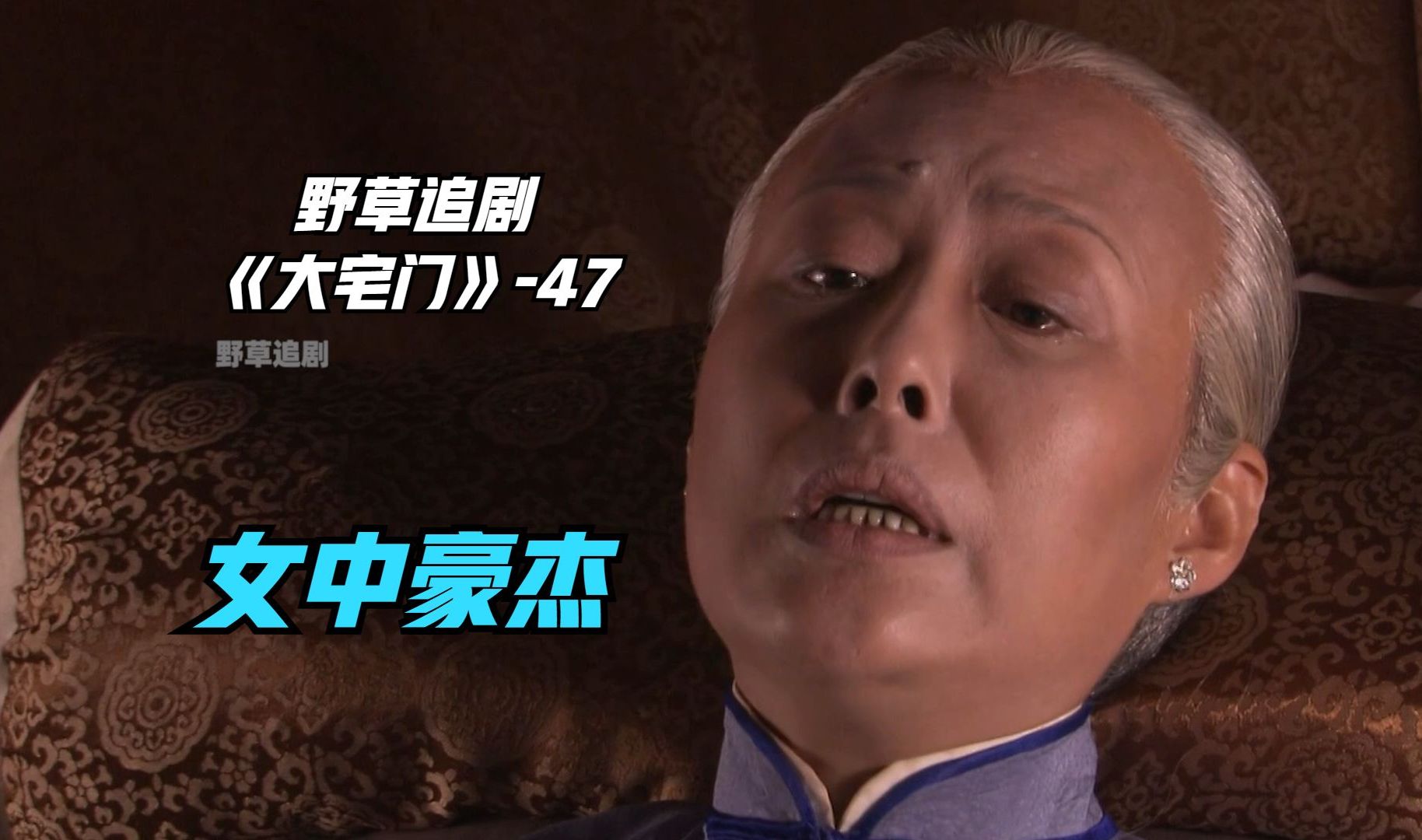 【野草】传奇女性白文氏离世,生命最后一刻仍在布局:百密一疏重大失误