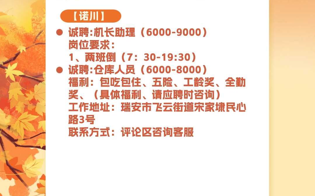 瑞安飞云招聘机长助理、仓库人员福利:包吃包住、五险、工龄奖哔哩哔哩bilibili