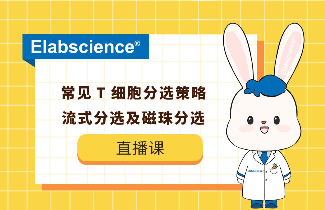 Elabscience直播回放 | 常见T细胞分选策略,流式分选及磁珠分选哔哩哔哩bilibili