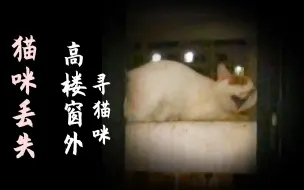 下载视频: 《宠物侦探之高楼窗外的猫》！