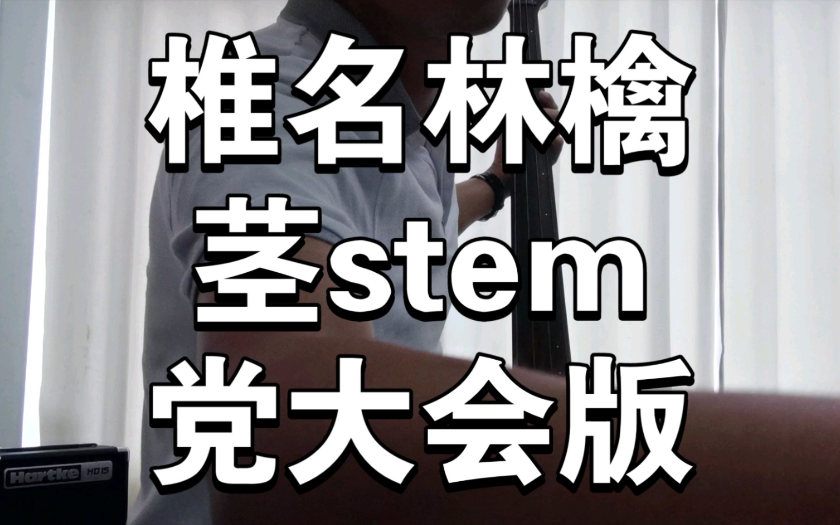 [图]【椎名林檎】茎（stem）党大会ver. Bass cover