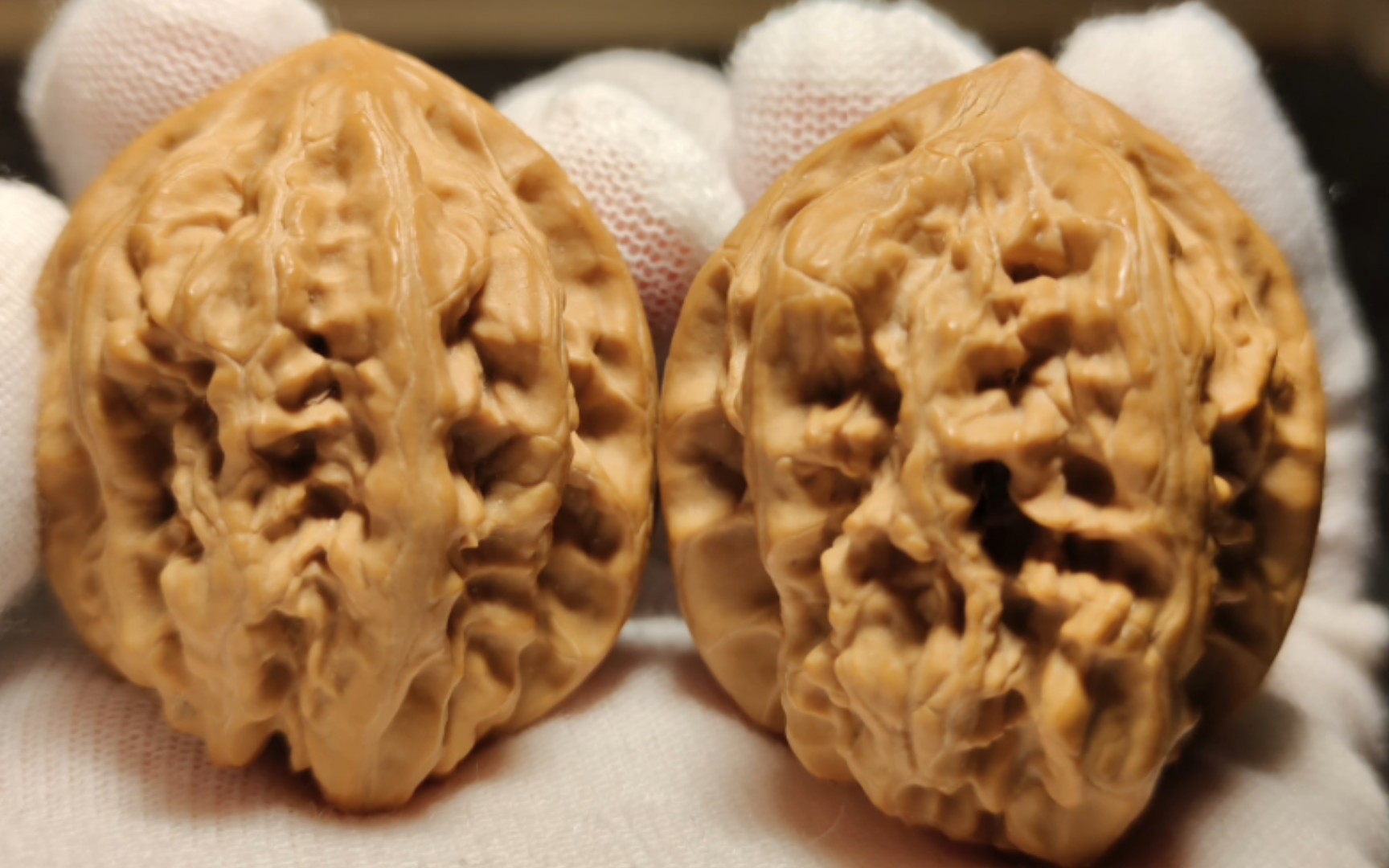 拍对承德粗筋玩玩