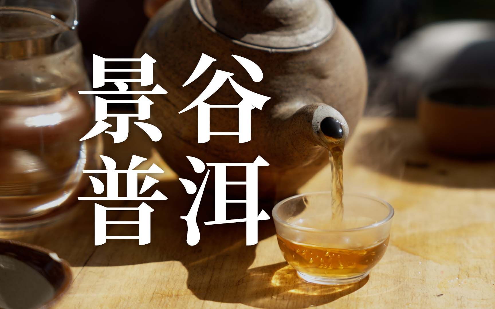 景谷普洱|300年古茶树哺育多少代人?【风物季】哔哩哔哩bilibili