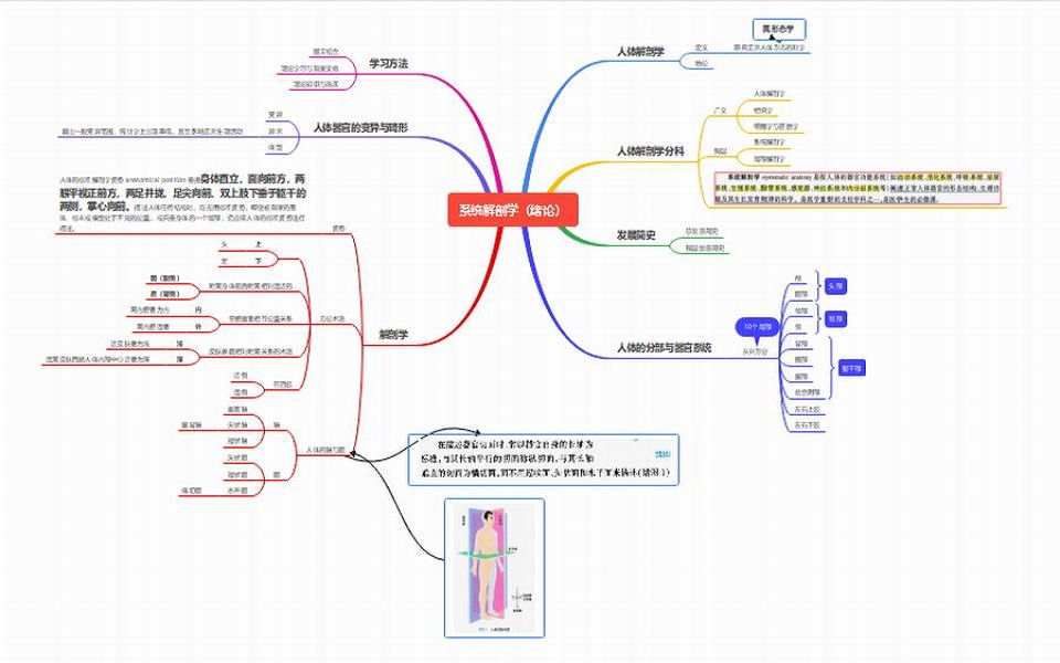 系统解剖学 绪论 思维导图哔哩哔哩bilibili