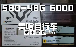 Descargar video: NAS神条？ZSpeed 众拾 雪豹 DDR5台式机游戏内存条6000MHz 32GB/48GB 原装颗粒 带散热片 OUNCE