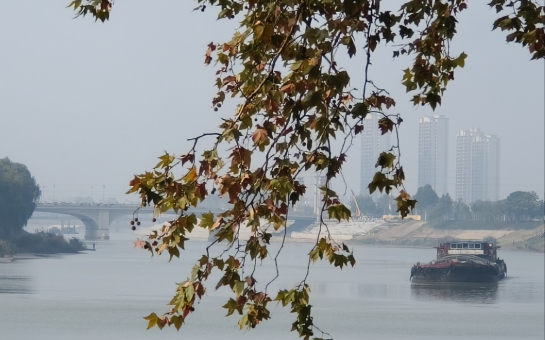 街拍(周口滨河公园)