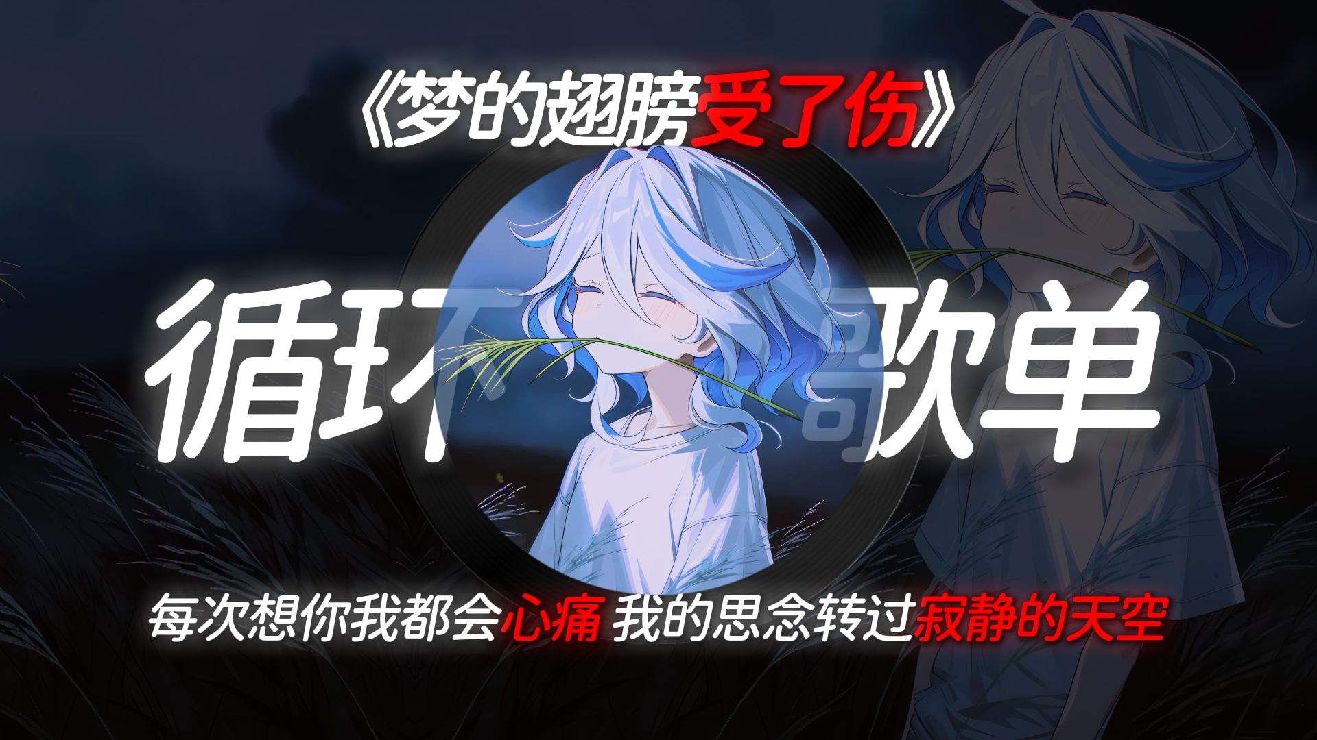 循环歌单《梦的翅膀受了伤DJ》一滴一滴刺痛我的心！