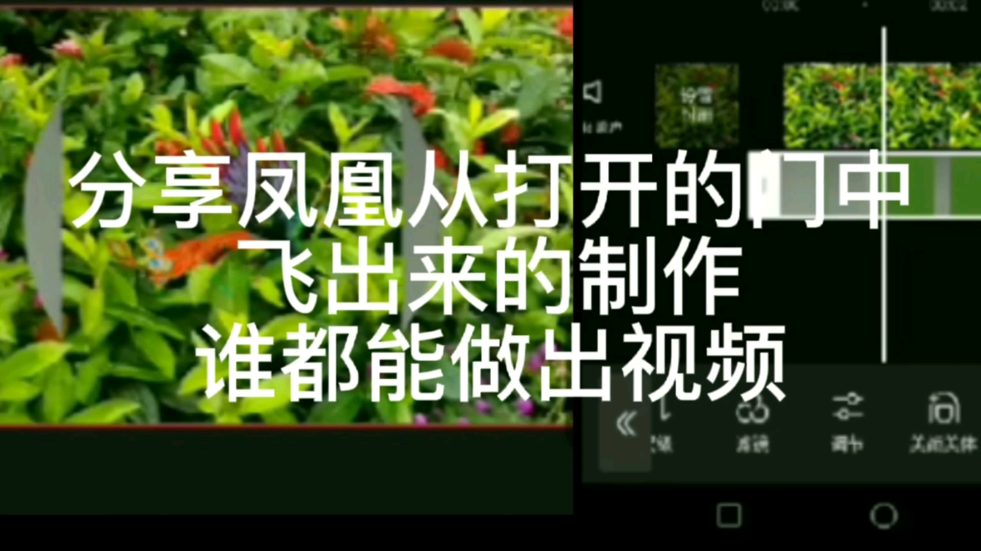 凤凰视频制作哔哩哔哩bilibili