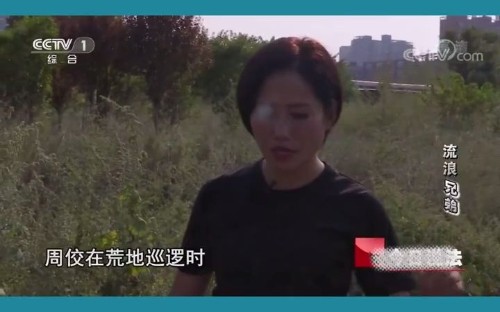 [图]我是小偷，但我的弟弟不是！