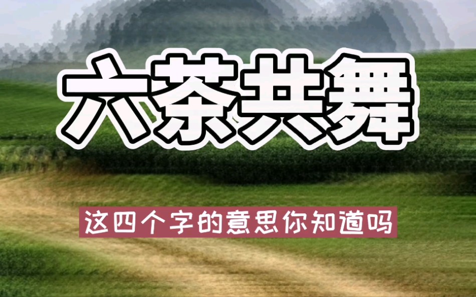 六茶共舞说的是哪六茶?