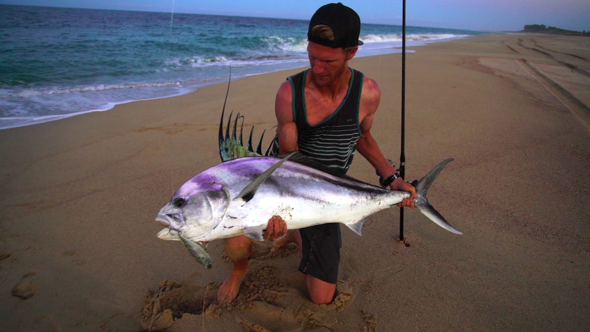 【渔具品牌】bkk cabo surfcaster 离岸丝帆鱼