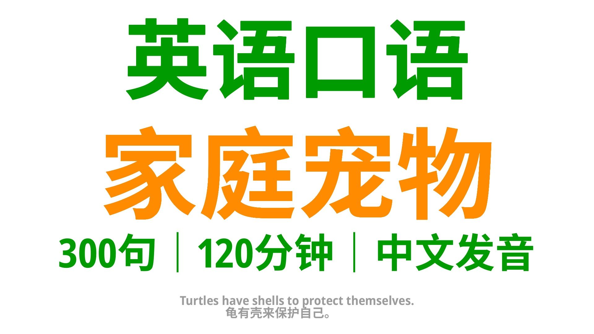 【38】宠物生活300句实用口语示范,宠物主人的英语口语宝典哔哩哔哩bilibili