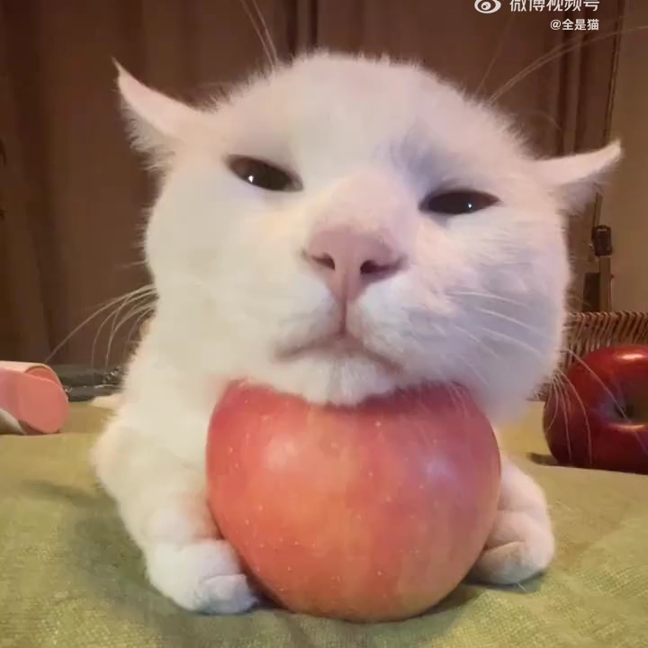 "苹果垫脑"