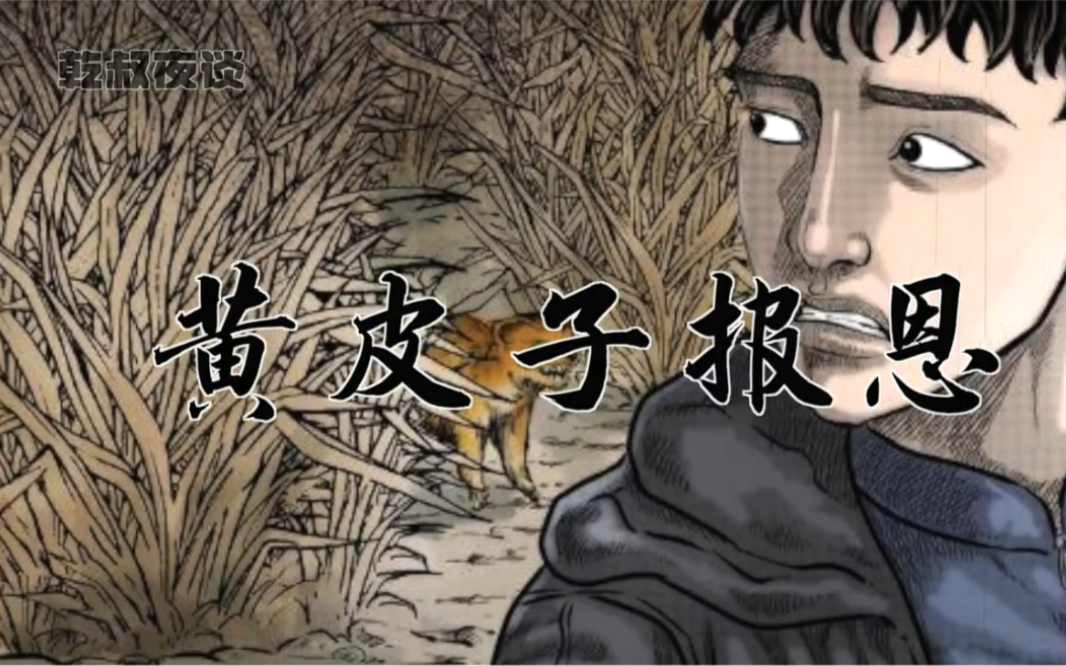 民间故事:《黄皮子报恩》-bili_65754217986-默认收藏夹-哔哩哔哩视频