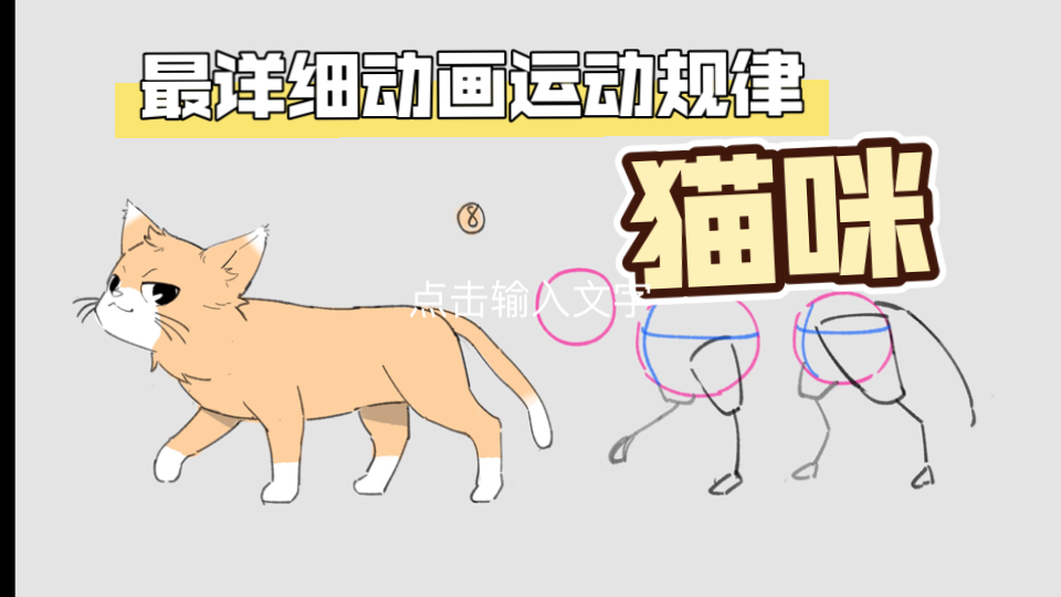 猫动画分解图片