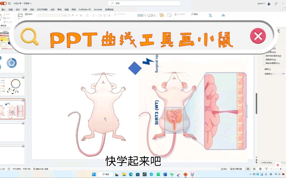 PPT曲线工具画小鼠哔哩哔哩bilibili