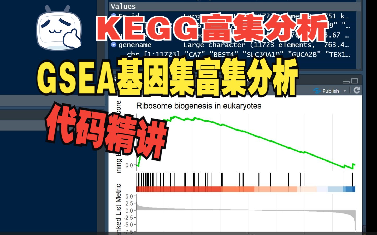 GSEA基因集富集分析、KEGG富集分析精讲【GEO数据挖掘】哔哩哔哩bilibili