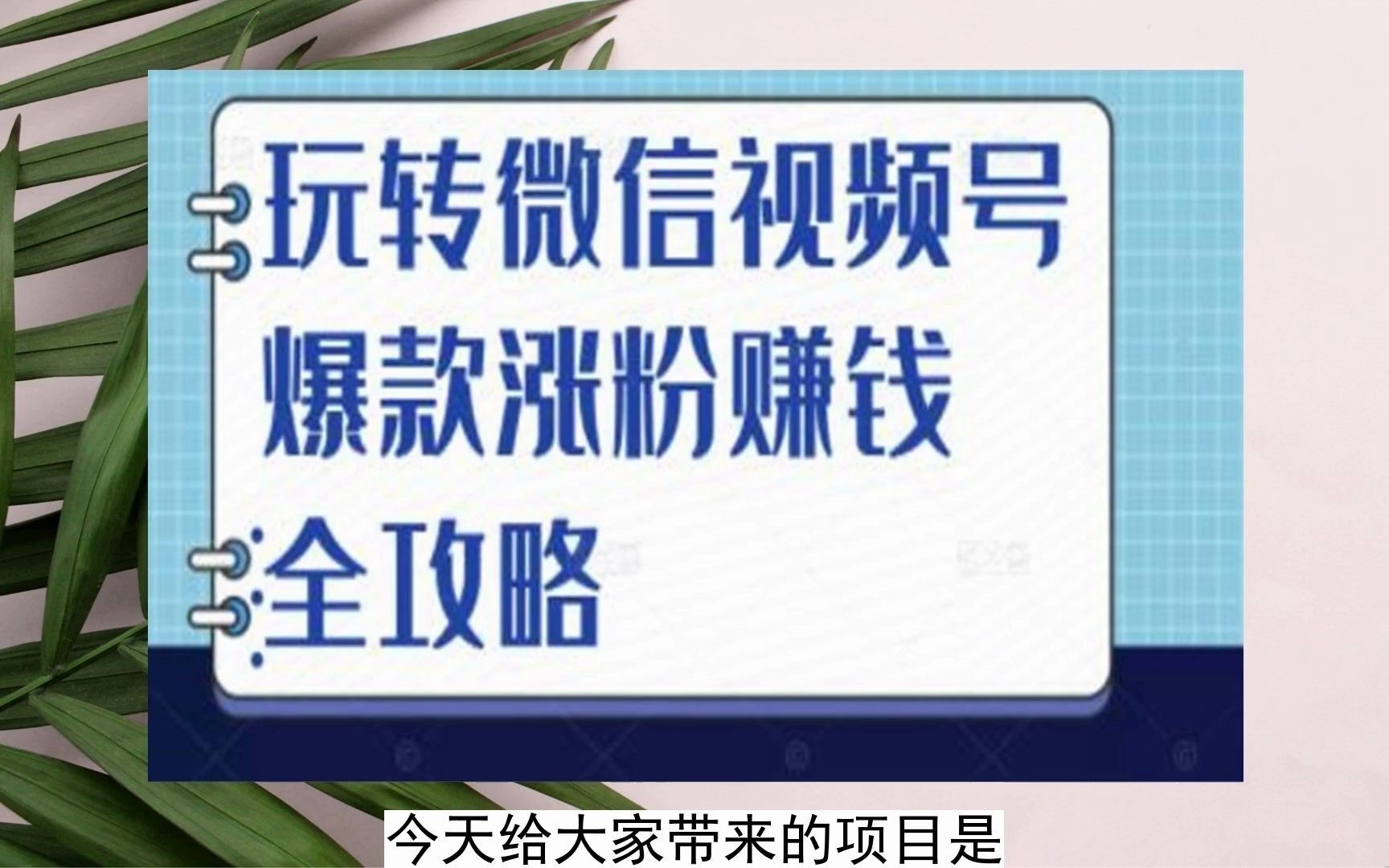 微信支付推广代理加盟_实体店微信支付推广_如何做微信支付推广方案