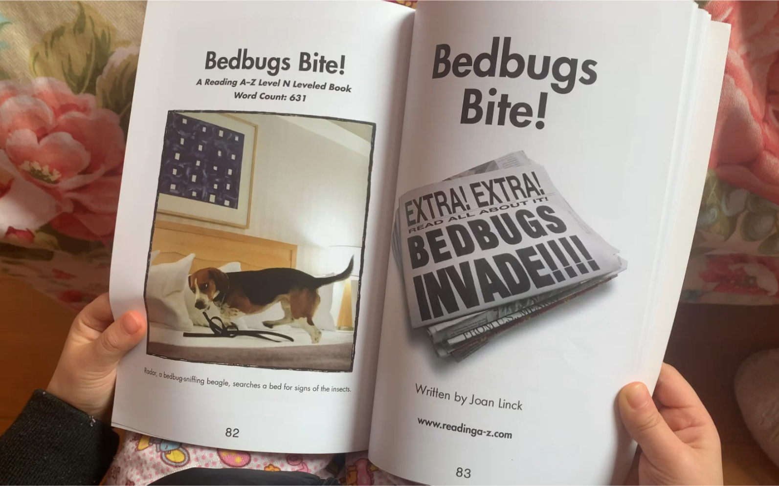 raz-kids n级 英语每日打卡 bedbugs bite!