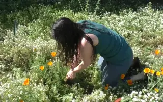 高度烈酒 哔哩哔哩 Bilibili