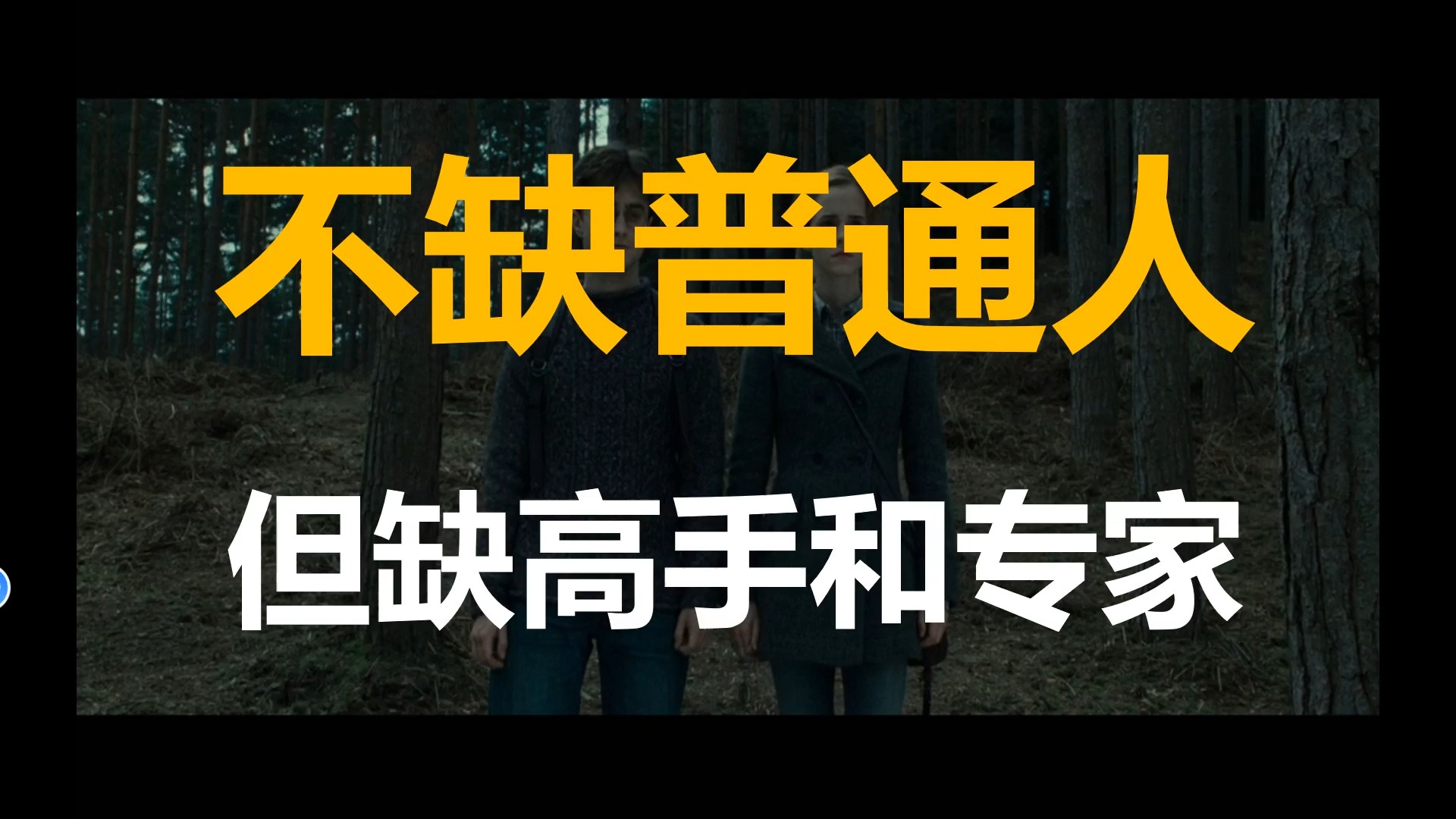 不缺普通人但缺高手和专家,企业如何培养专家级人才?哔哩哔哩bilibili