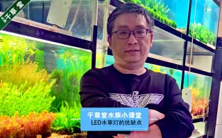 Led水草灯 哔哩哔哩 Bilibili