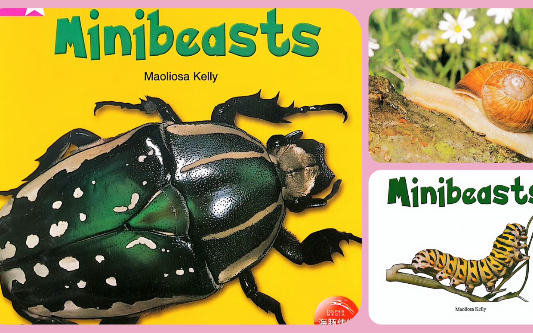 [图]Minibeasts《微小动物》英文绘本阅读