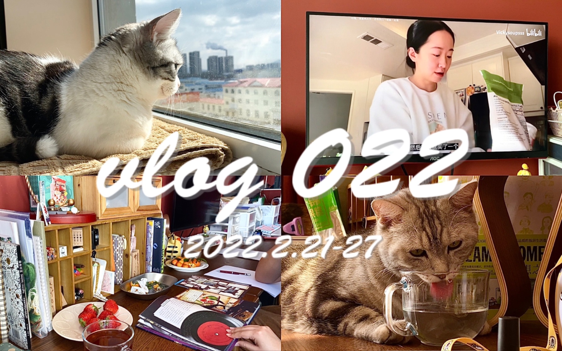 [图]【丸子】vlog-022 猫咪｜夏洛克福尔摩斯的密室逃脱游戏｜猫咪咀嚼音