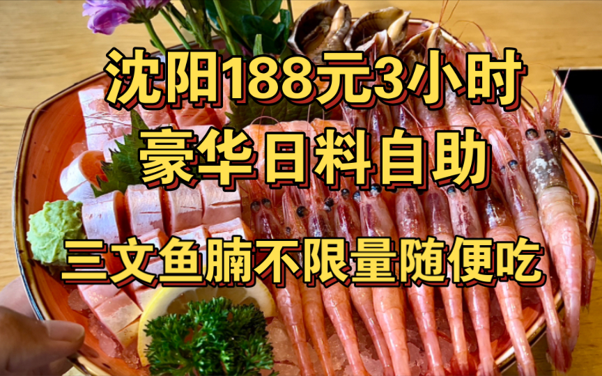 沈阳188元豪华日料自助,三文鱼腩和各种海鲜不限量随便造,3小时爽吃哔哩哔哩bilibili