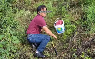 Descargar video: 狂追栖息地偷鱼贼——野生扬子鳄张龙守护者 护鳄世家