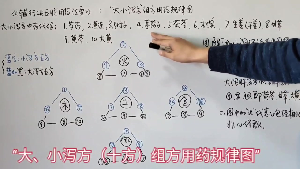 辅行诀用药合化图图片