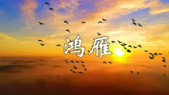 下载视频: 马头琴《鸿雁》完整版，淡雅优美，养心安神